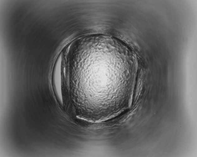 X0000094170051200711091131