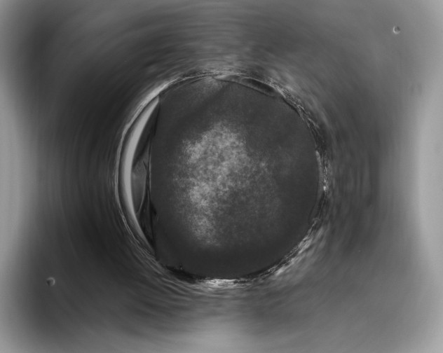 X0000094170052200711091132