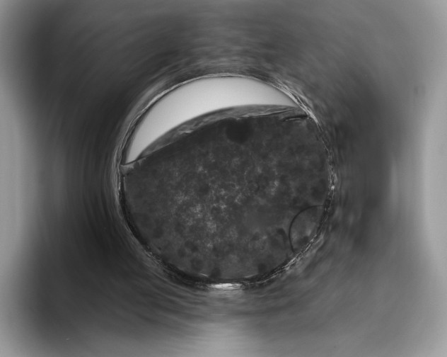 X0000094170053200711091132