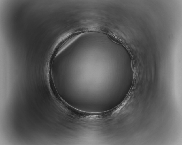 X0000094170054200711091132
