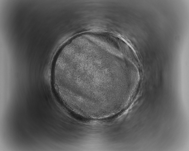 X0000094170055200711091132