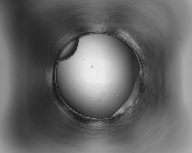 X0000094170058200711091132