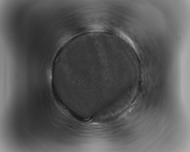 X0000094170059200711091132