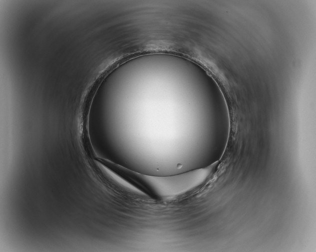 X0000094170060200711091132
