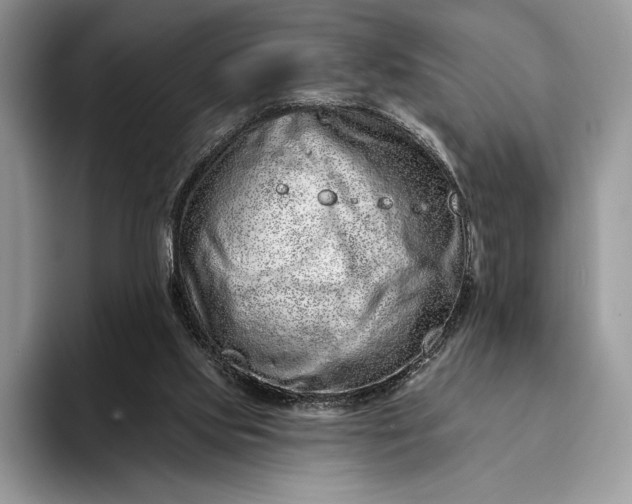 X0000094170061200711091132