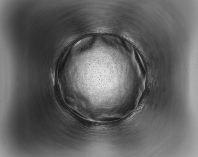 X0000094170062200711091132