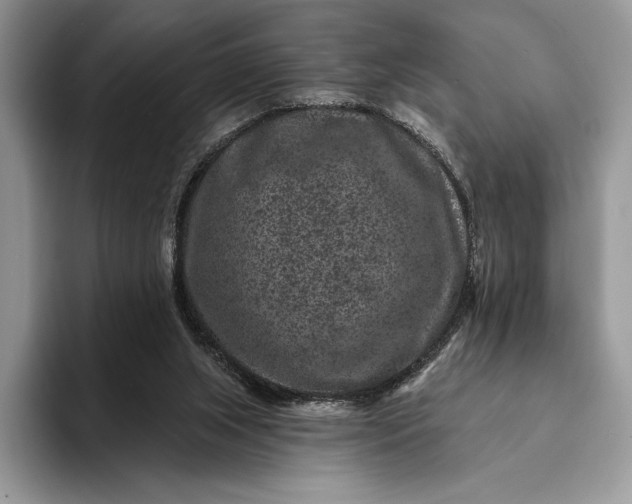 X0000094170063200711091132