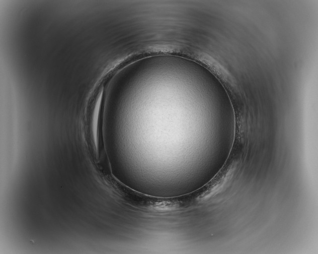 X0000094170064200711091132