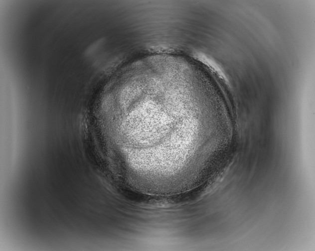 X0000094170065200711091132
