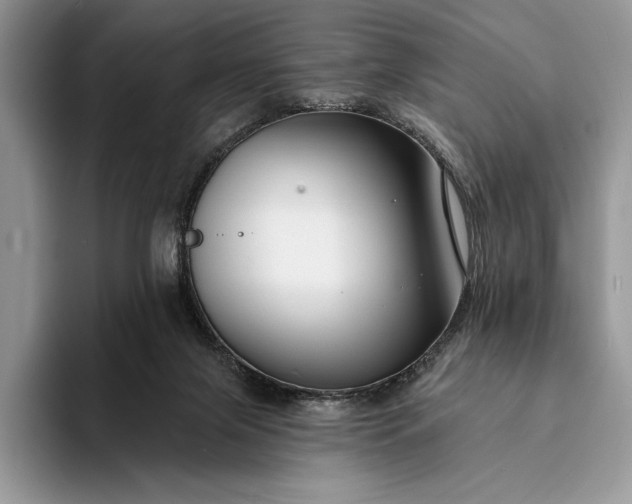 X0000094170071200711091132