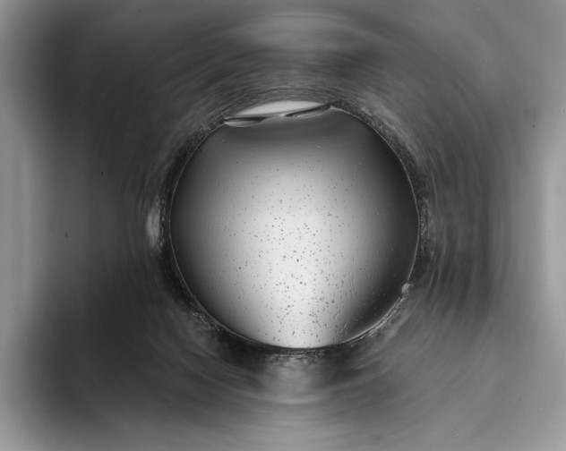 X0000094170074200711091132