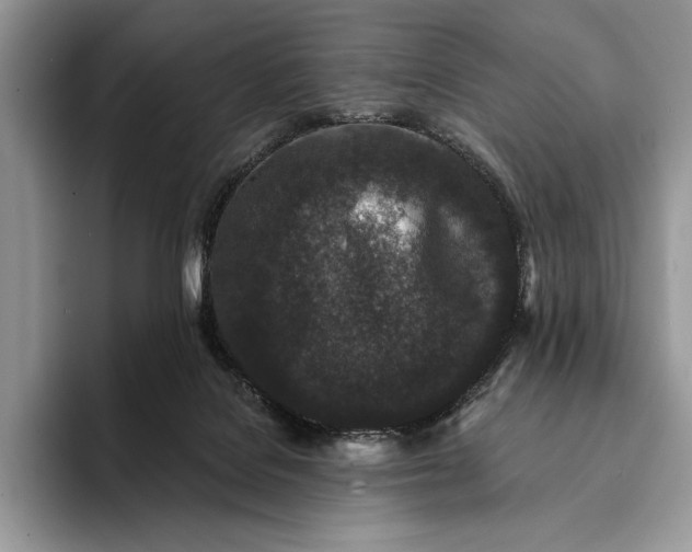 X0000094170076200711091132