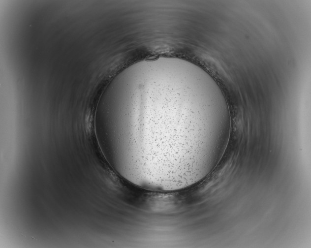 X0000094170081200711091132