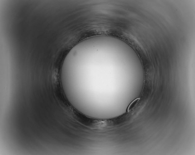 X0000094170083200711091132
