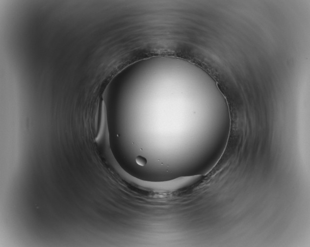 X0000094170084200711091132