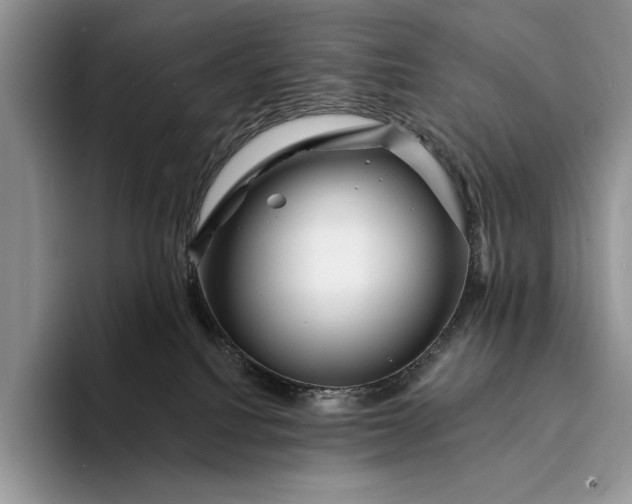 X0000094170088200711091132