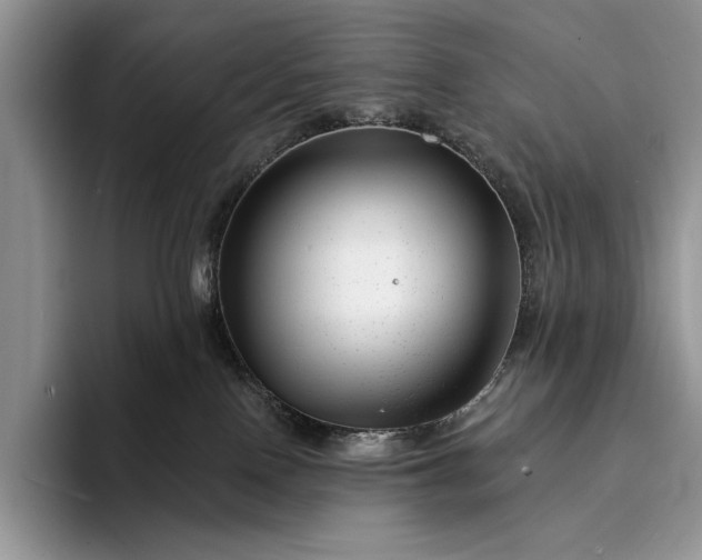 X0000094170090200711091132