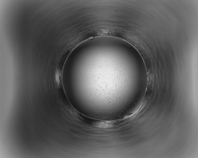 X0000094170094200711091132