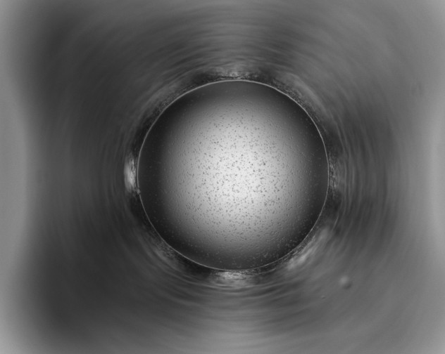 X0000094170095200711091132