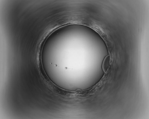 X0000094170098200711091131
