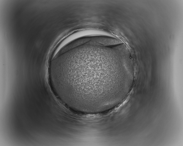 X0000094170101200711091131