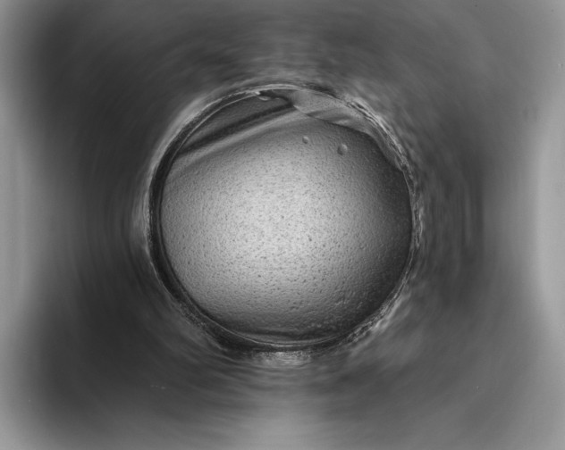 X0000094170102200711091131