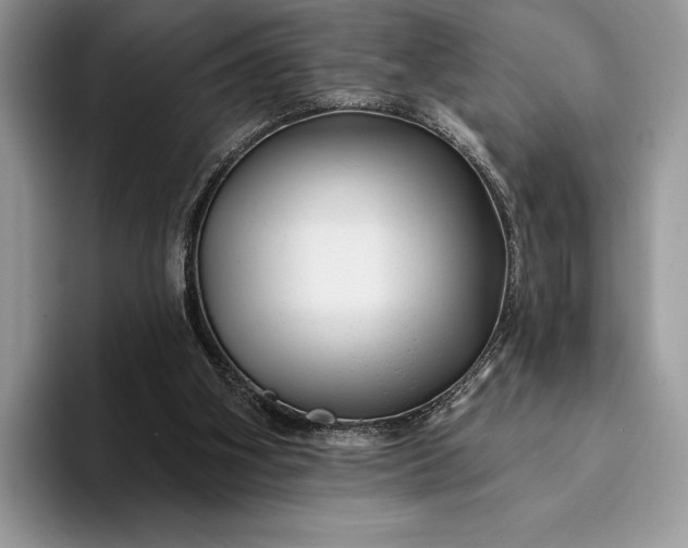 X0000094170106200711091131