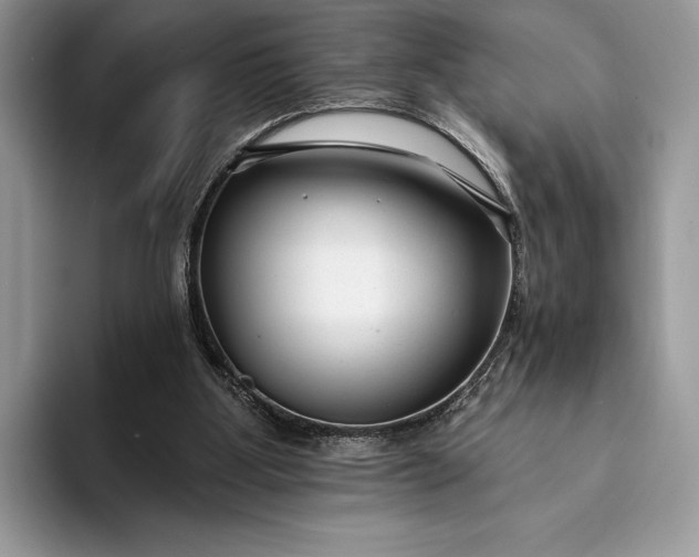 X0000094170107200711091131
