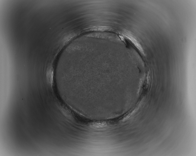 X0000094170110200711091131