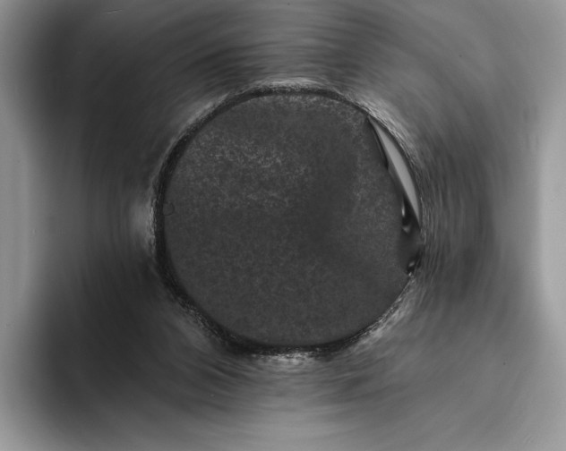 X0000094170112200711091131