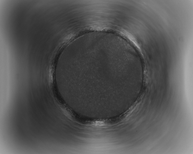 X0000094170114200711091131