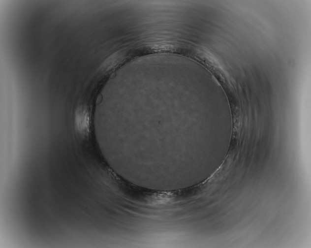 X0000094170124200711091131