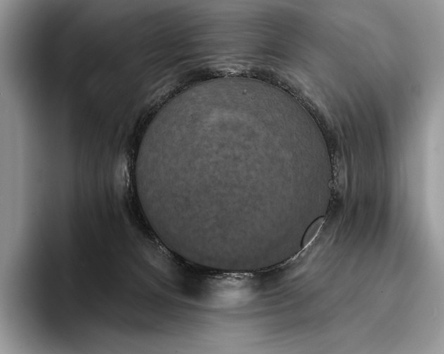 X0000094170128200711091131
