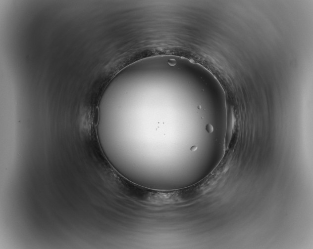 X0000094170129200711091131