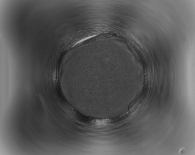 X0000094170134200711091131