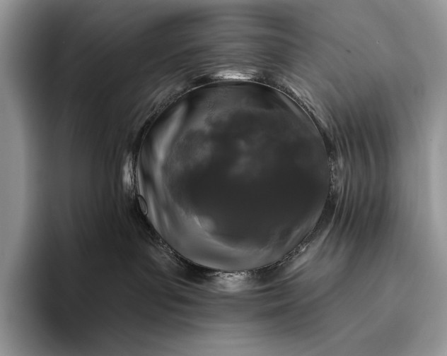 X0000094170143200711091131