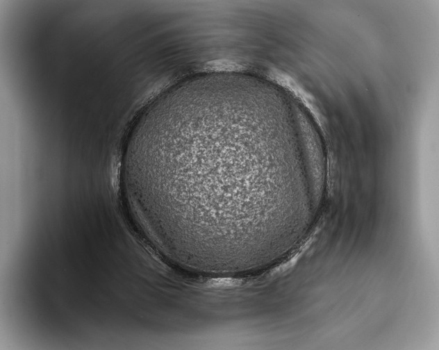 X0000094170153200711091130