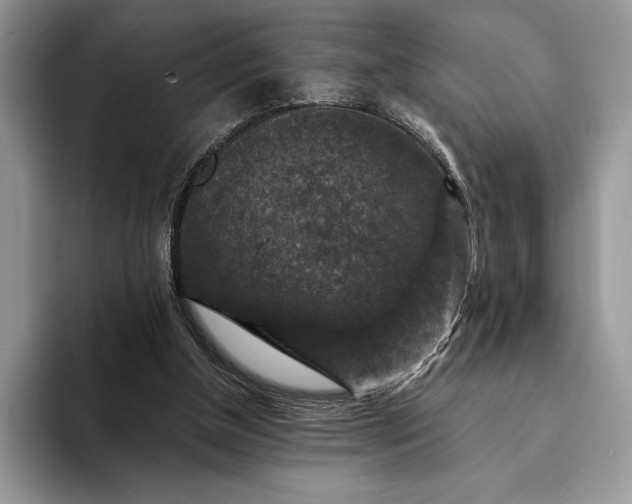 X0000094170154200711091130