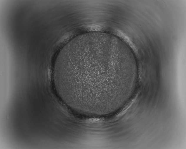 X0000094170161200711091131