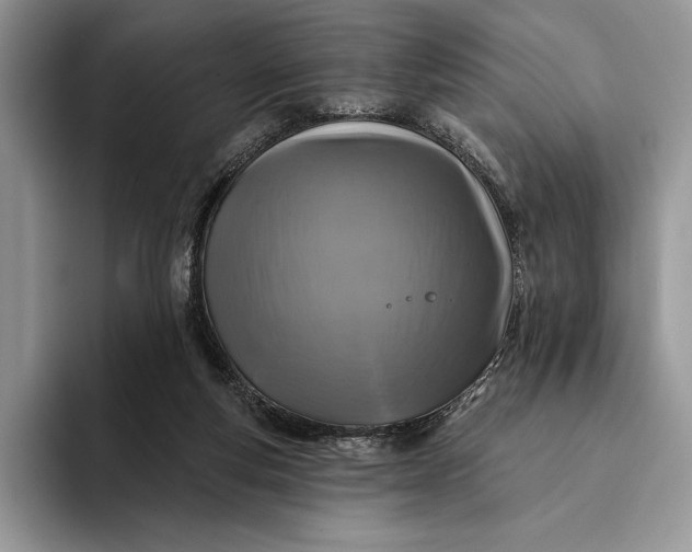 X0000094170163200711091131