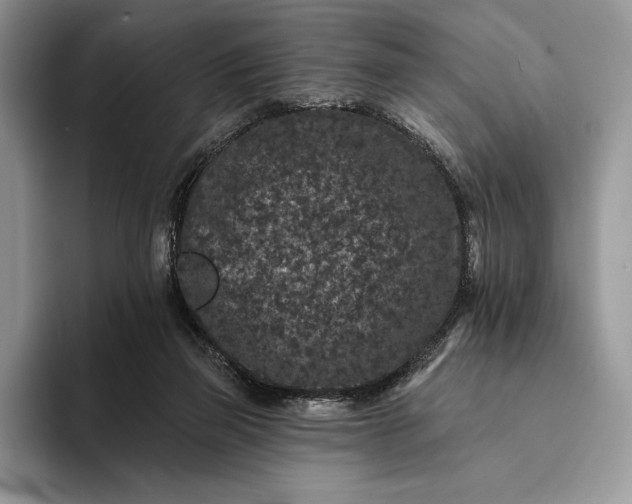 X0000094170165200711091131