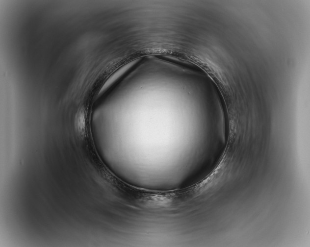 X0000094170166200711091131