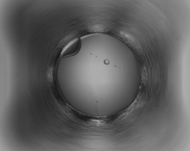X0000094170167200711091131