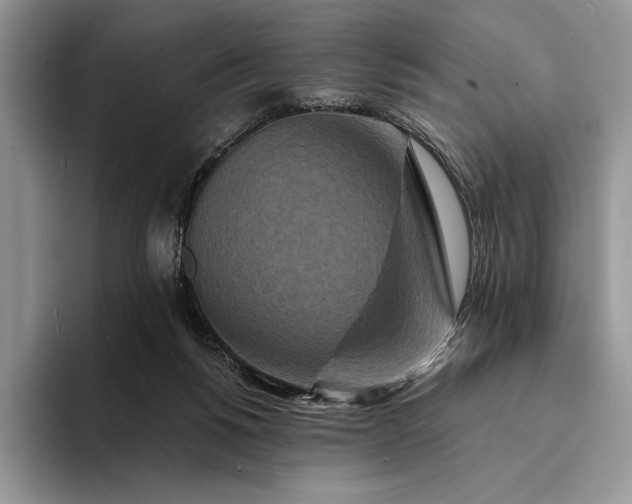 X0000094170168200711091131