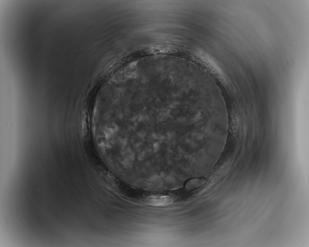X0000094170169200711091131