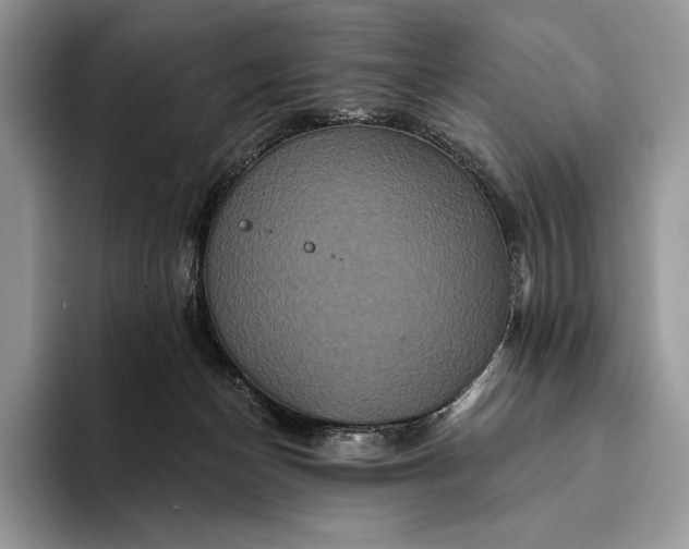X0000094170174200711091131