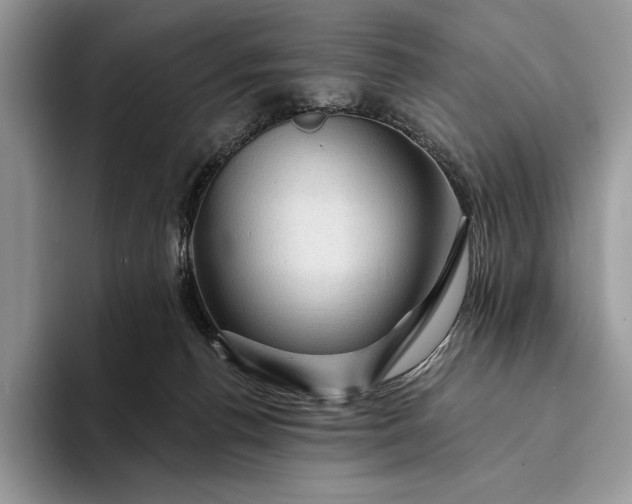 X0000094170176200711091131