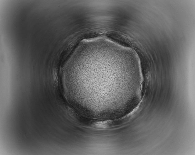 X0000094170178200711091131