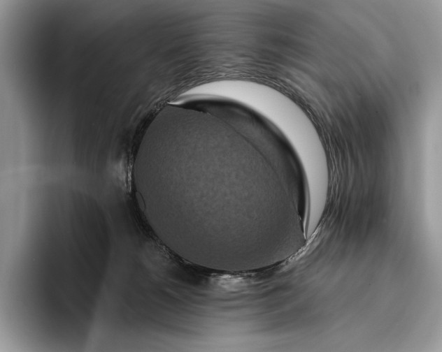 X0000094170180200711091131