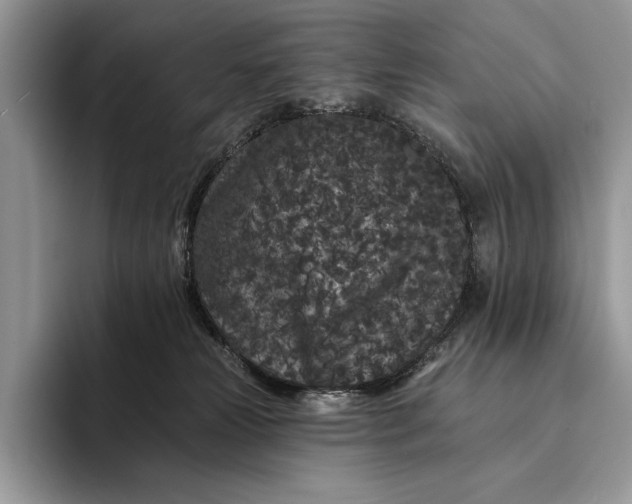 X0000094170181200711091131